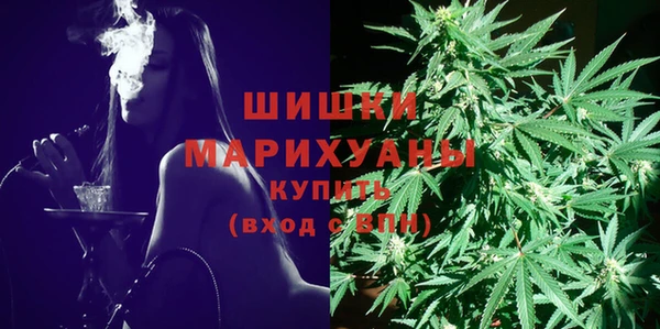 сатива Баксан