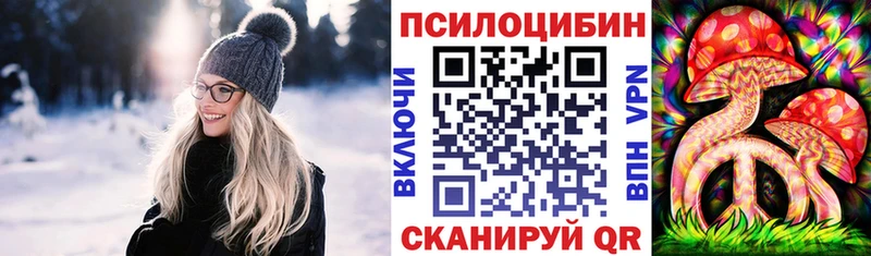 Псилоцибиновые грибы ЛСД  Купить где  Приозерск 